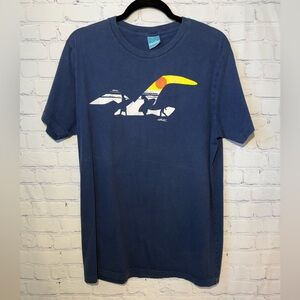 Y2K Hollister single stitch size XL navy blue with chest screen print